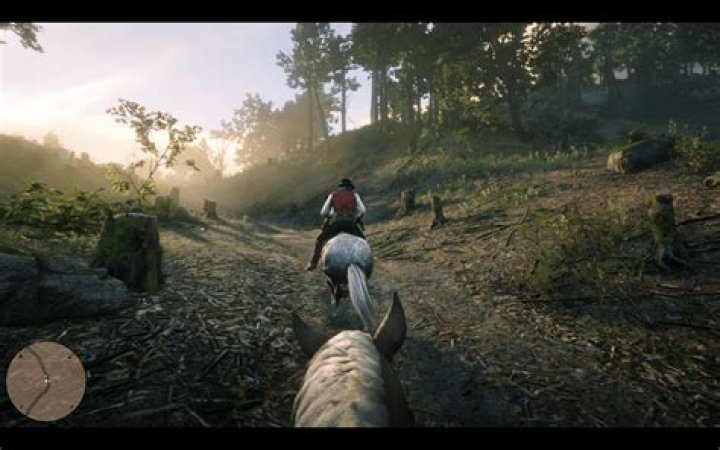 How to enter First Person Perspective mode in Red Dead Redemption 2