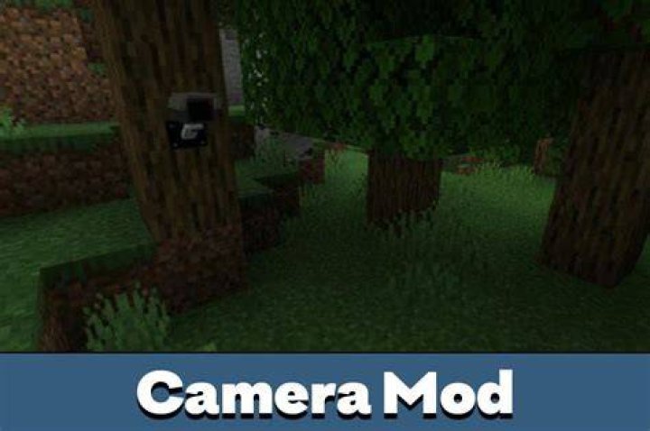 How To Get The Camera Mod For V Rising