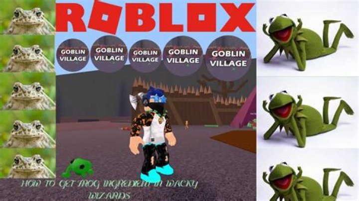 How To Get The Frog In Wacky Wizards