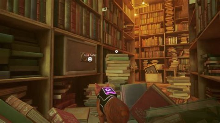 How to get the Outsiders Notebooks in Stray