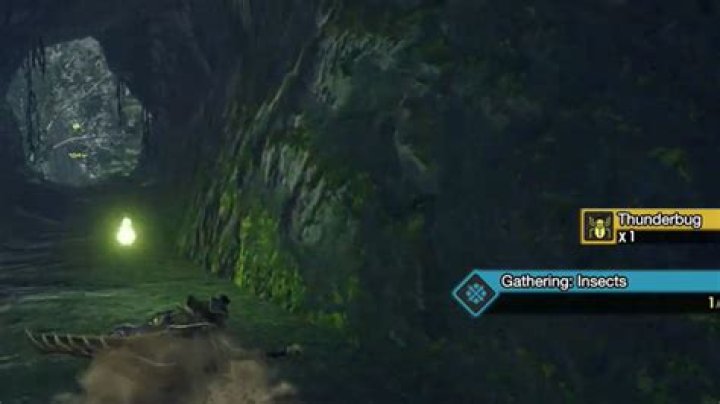 How to get Thunderbugs in Monster Hunter Rise