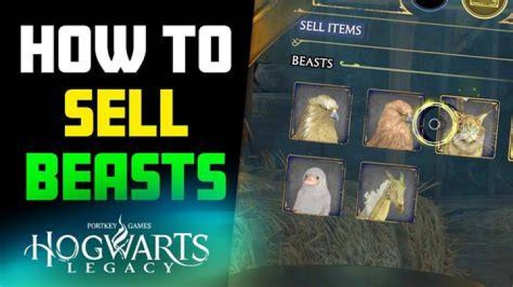 How to Sell Beasts in Hogwarts Legacy