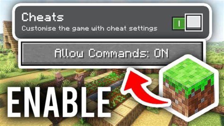 How To Use And Enable Cheat Codes