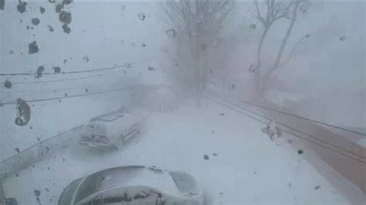Image for Blizzard swoops on Heroes of Warcraft domain