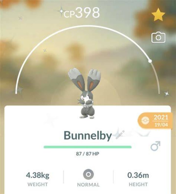 Image for Bunnelby 100% perfect IV stats, shiny Bunnelby in Pok&eacute;mon Go