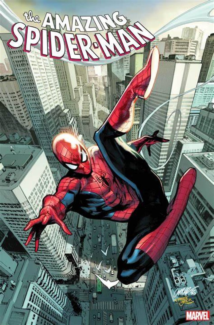 Image for The Amazing Spider-Man game revealed