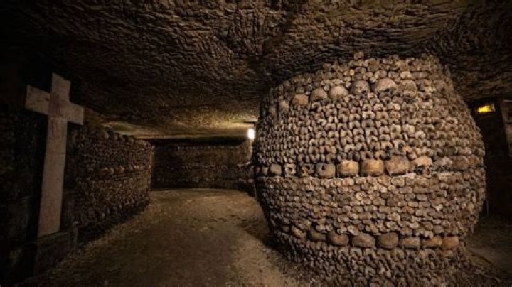 Image for The Catacombs of Solaris Revisited is the most indoors I've felt since lockdown began