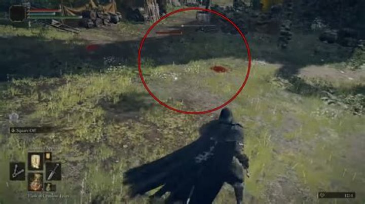 Invisible enemies bug in Elden Ring – How to fix