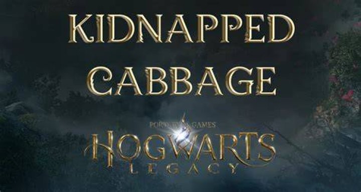 Kidnapped Cabbage Hogwarts Legacy Side Quest