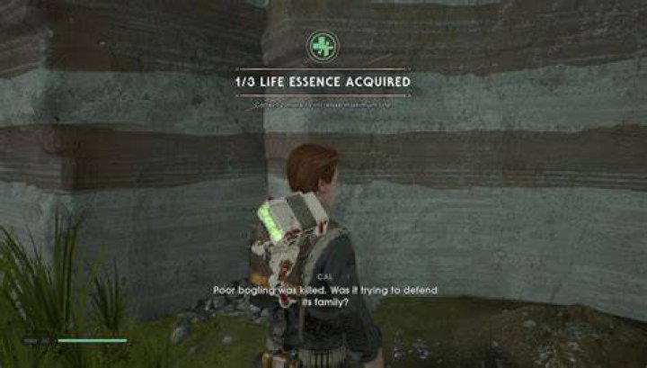 Life Essence in Jedi Fallen Order