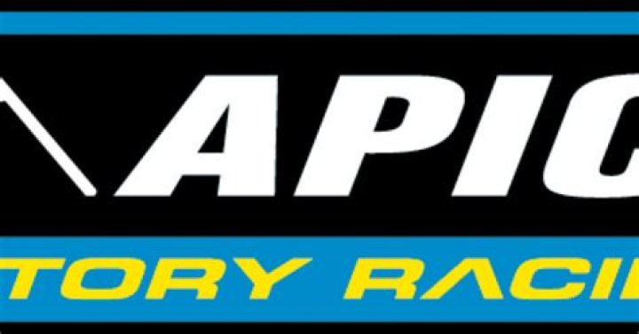 Logo of APICO