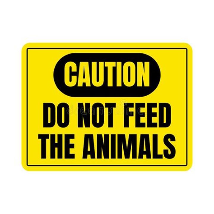 Logo of Do Not Feed the Monkeys 2099