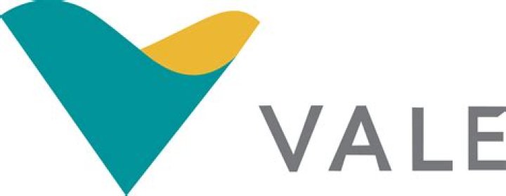 Logo of The Vale