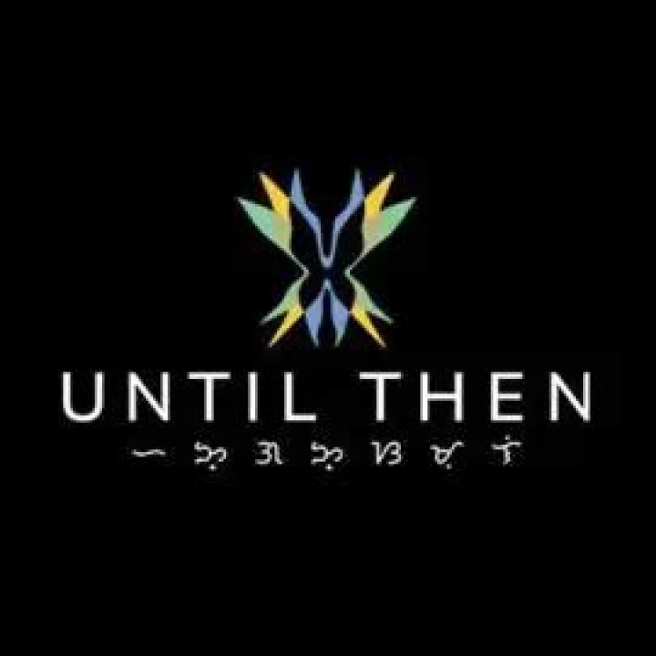 Logo of Until the Last Plane