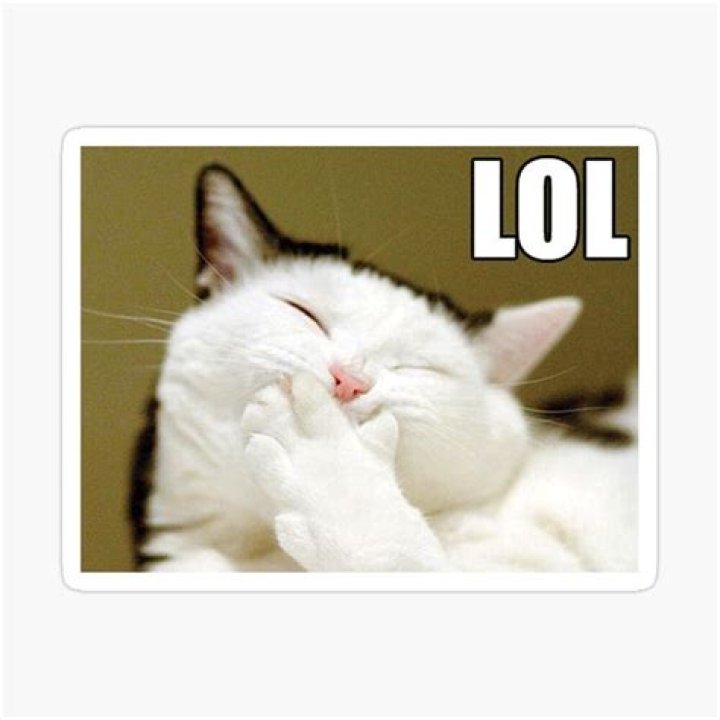 LoL Cat