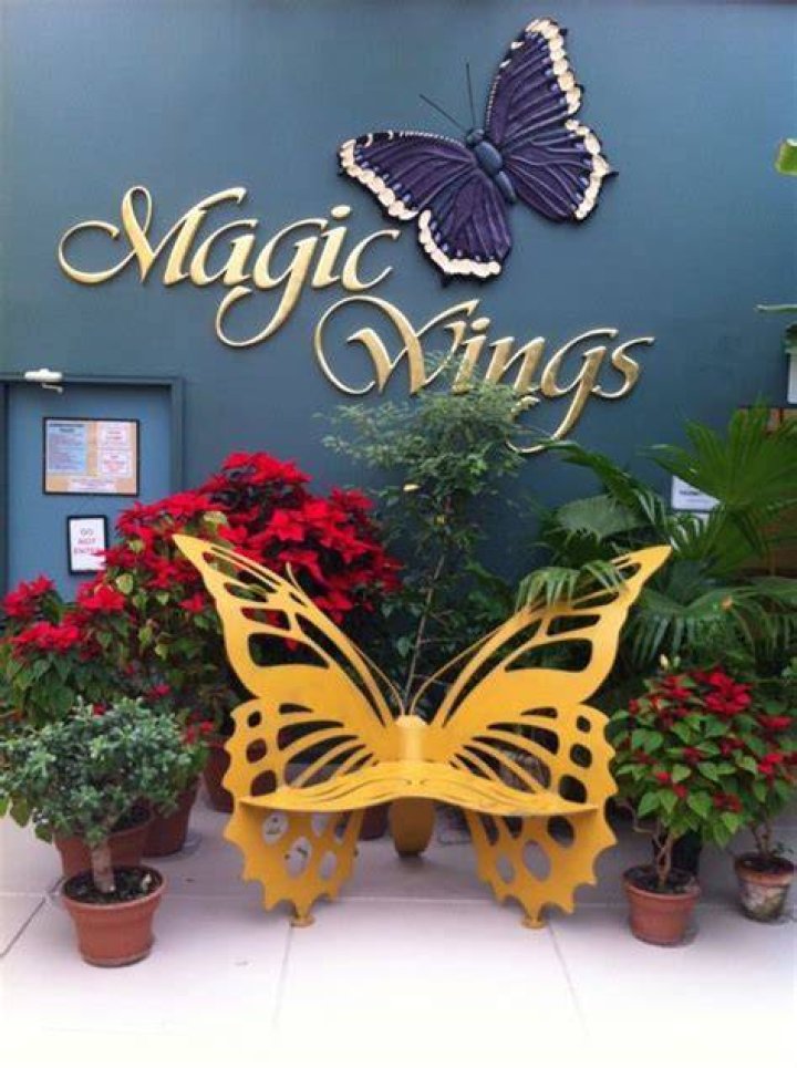 Magic Wings