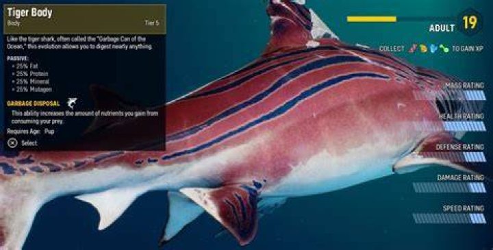 Maneater Guide On How to Evolve Your Shark