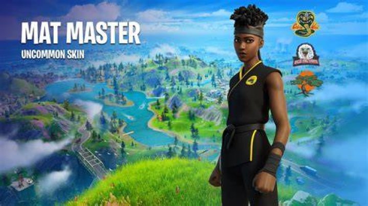Mat Master skin
