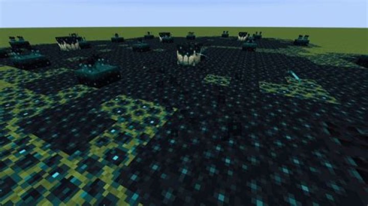 
Minecraft Deep Dark Biome Explained: Blocks, Mobs, and Structures