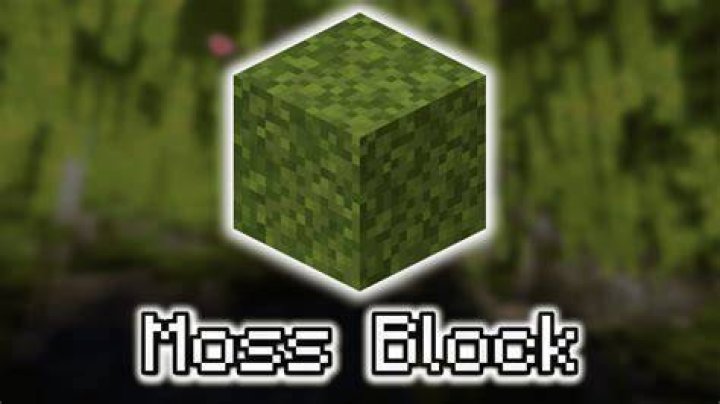 minecraft moss carpet