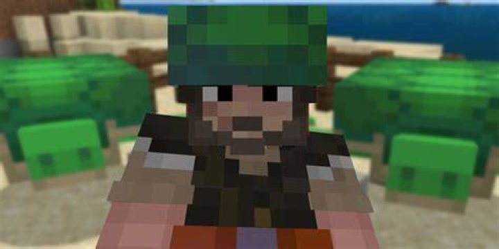 minecraft turtle shell