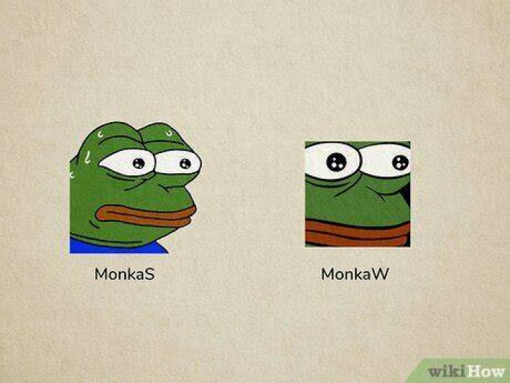 MonkaS vs MonkaW
