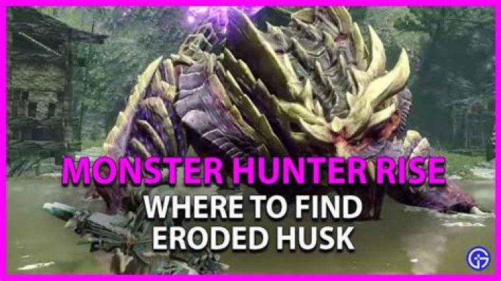 
Monster Hunter Rise: How to Get Eroded Husk
