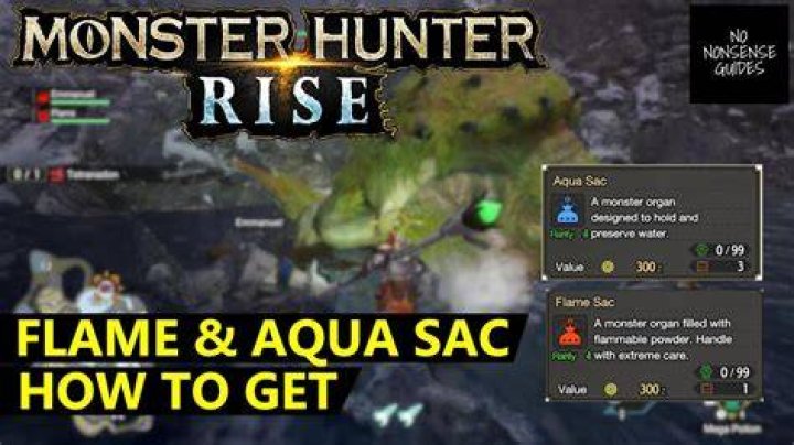 
Monster Hunter Rise: How to Get Flame Sac