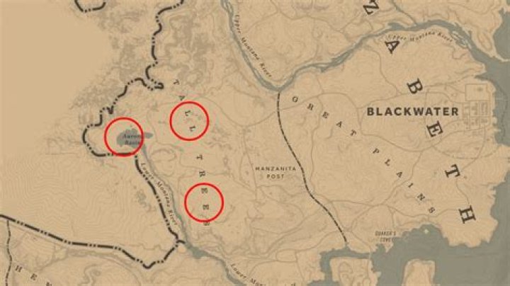 Moose RDR 2 Location Guide