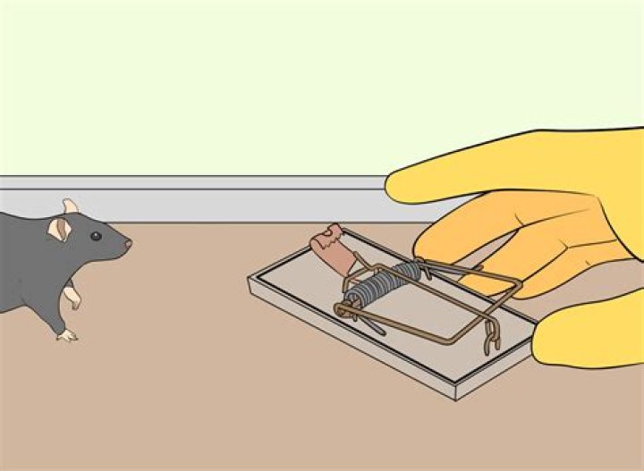 Mouse catcher Figgerits Answer
