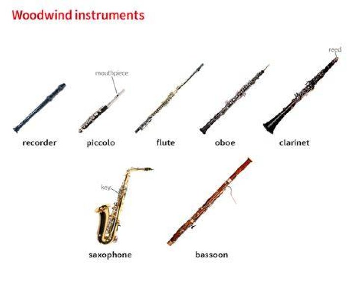 Musical Instruments (Woodwind)