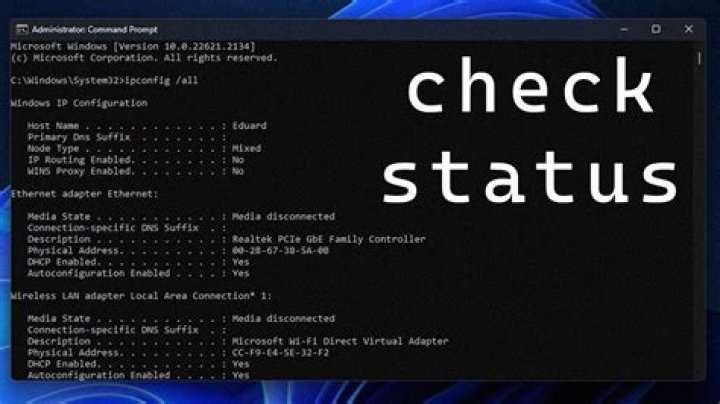 network status check error