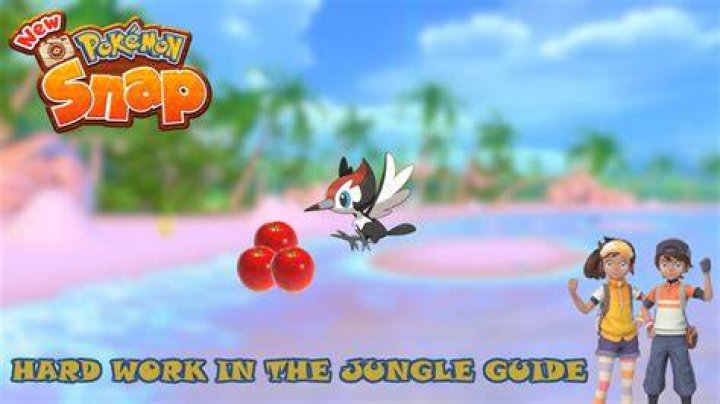 
New Pokémon Snap: Hard Work in the Jungle Guide
