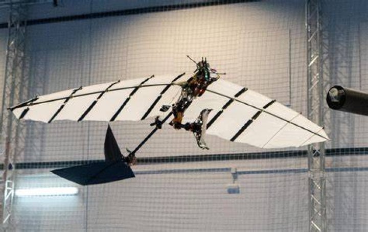 Ornithopter