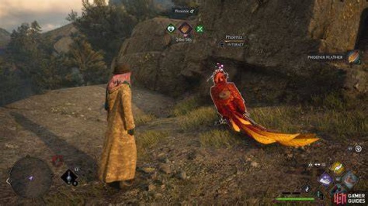 Phoenix Rising Hogwarts Legacy Side Quest