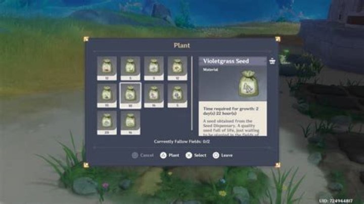 Planting Violetgrass in Genshin Impact
