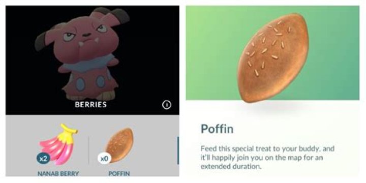 Poffin Pok&eacute;mon GO