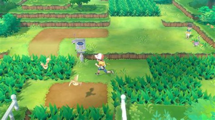 Pokemon Let's Go Master Trainer Map
