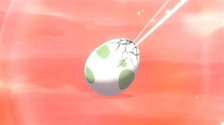 Pokemon Sword and Shield egg hatching