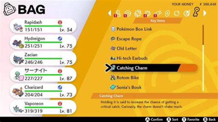 Pokemon Sword and Shield Post Game Guide