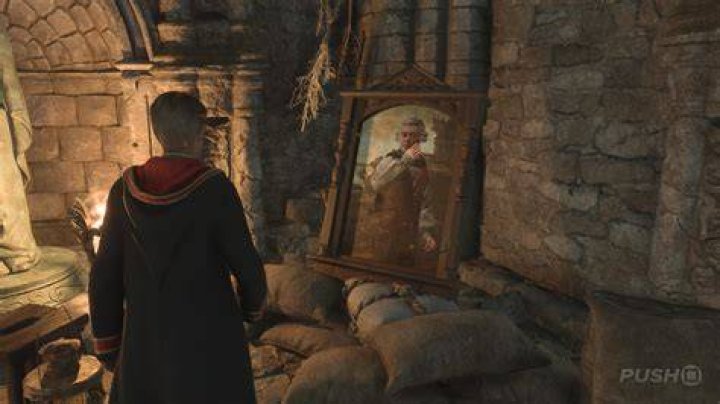 Portrait in a Pickle Hogwarts Legacy Side Quest
