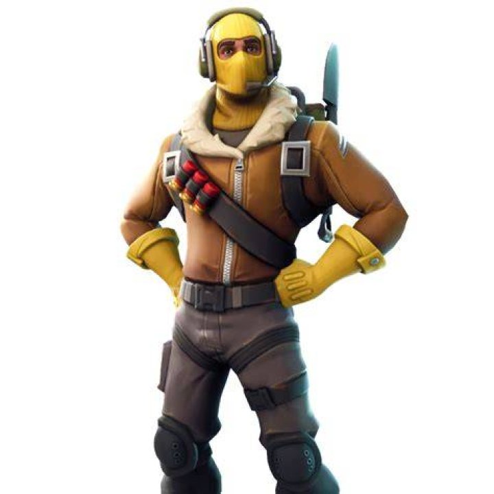 Raptor skin