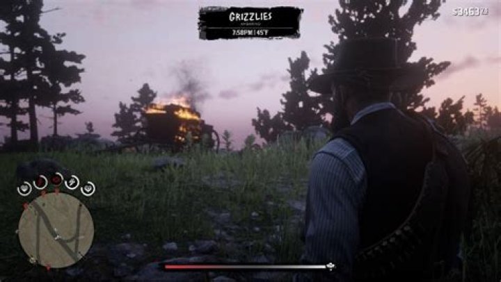 rdr2 honor meter