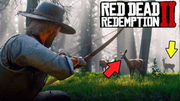 Red Dead Redemption 2 Hunting And Fishing Map Locations