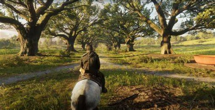 red dead redemption 2