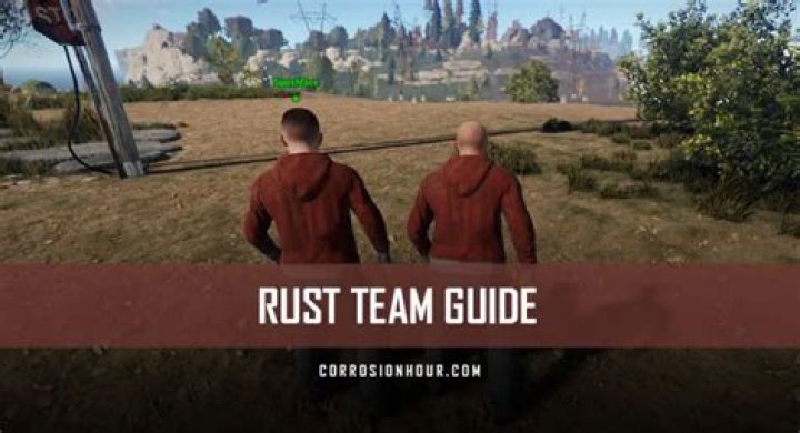 Rust Team Guide