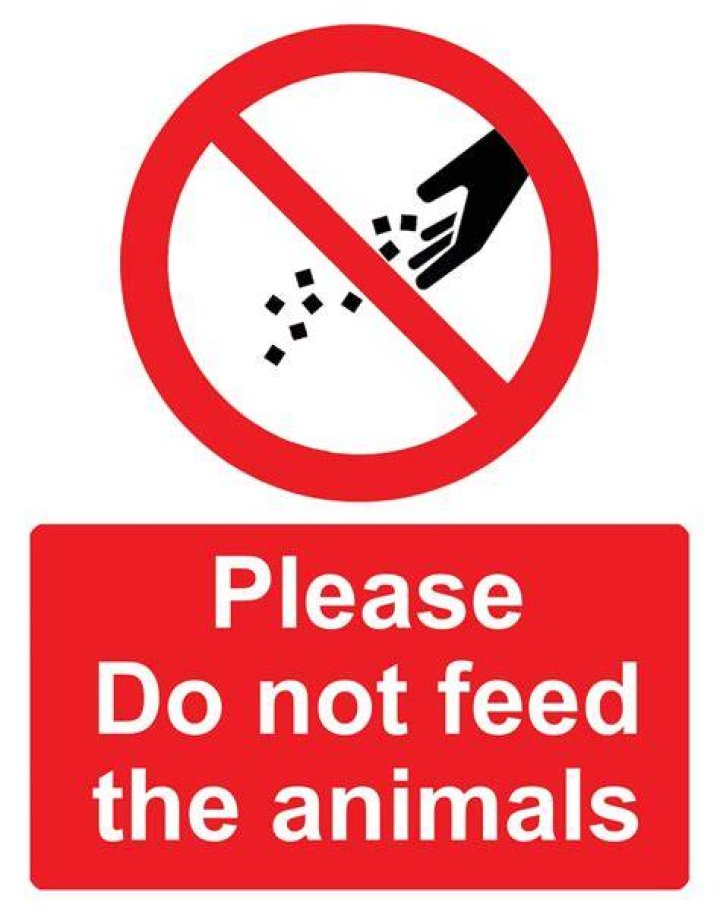 Screenshot of Do Not Feed the Monkeys 2099