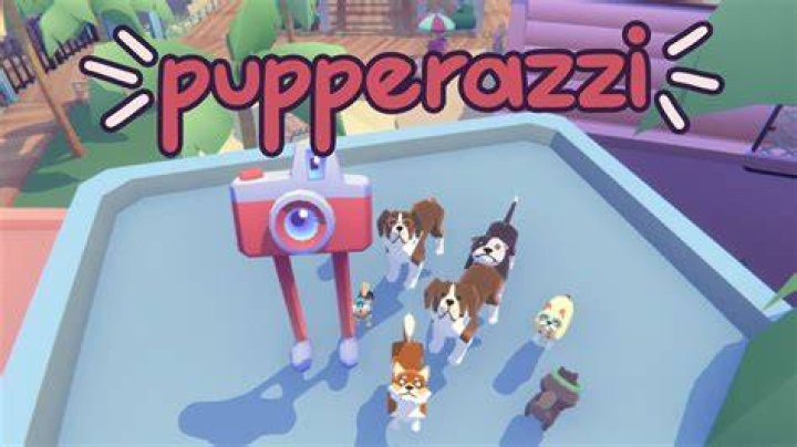 Screenshot of Pupperazzi