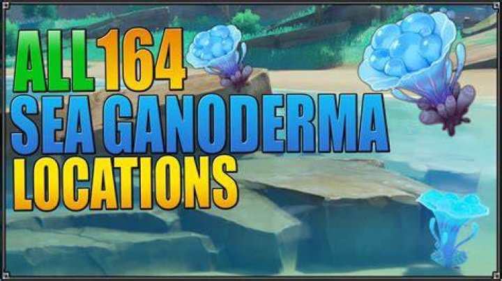 Sea Ganoderma Locations Genshin Impact
