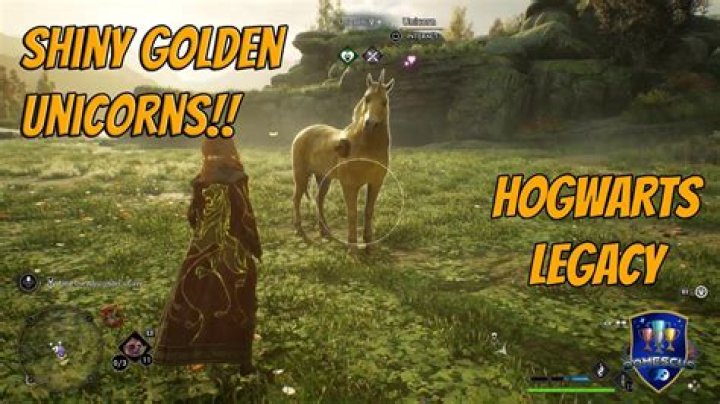 Shiny Unicorn in Hogwarts Legacy